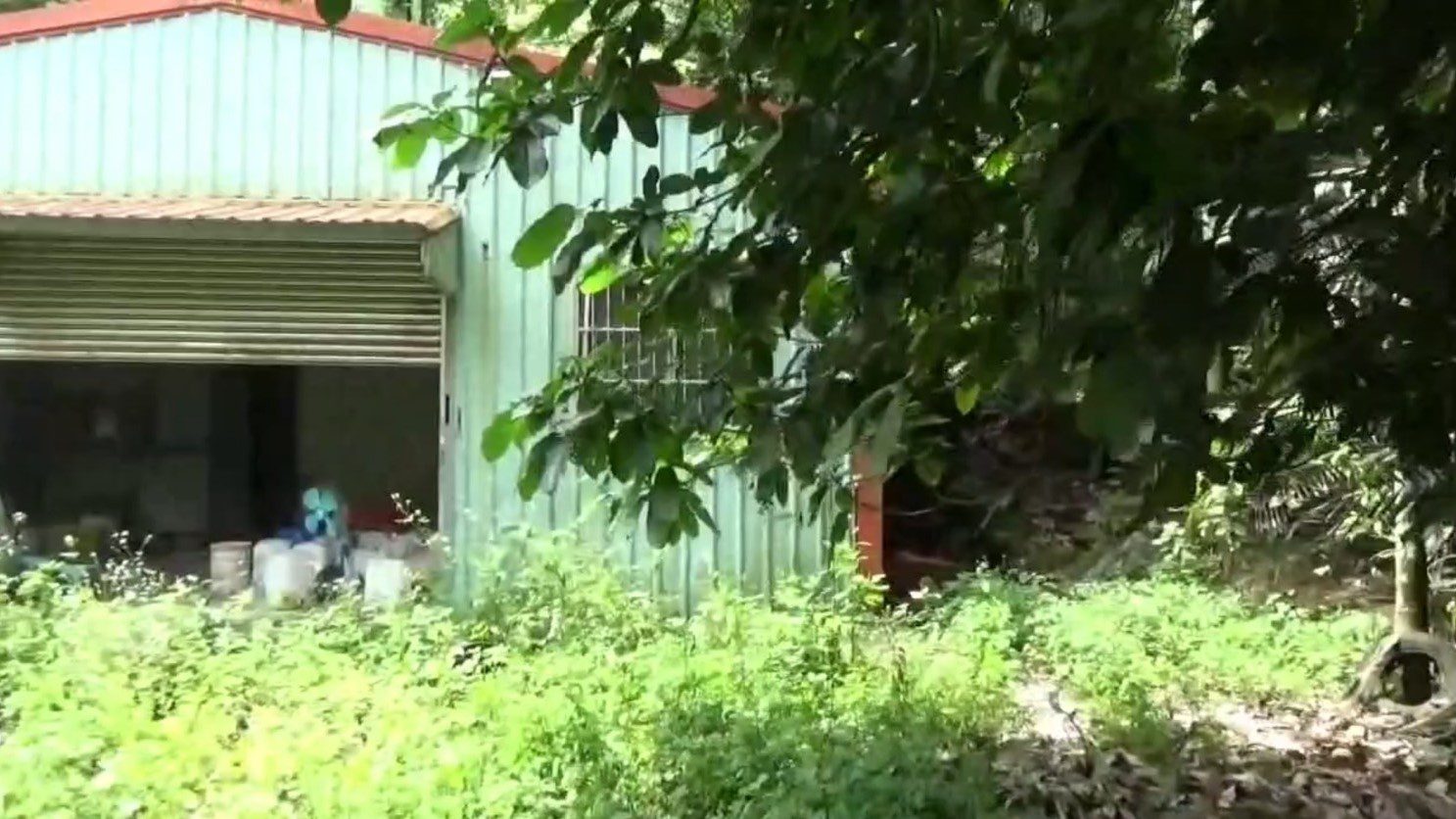 國土保育區藏毒 投檢警溯源瓦解製毒集團 國土保育區藏毒 投檢警溯源瓦解製毒集團