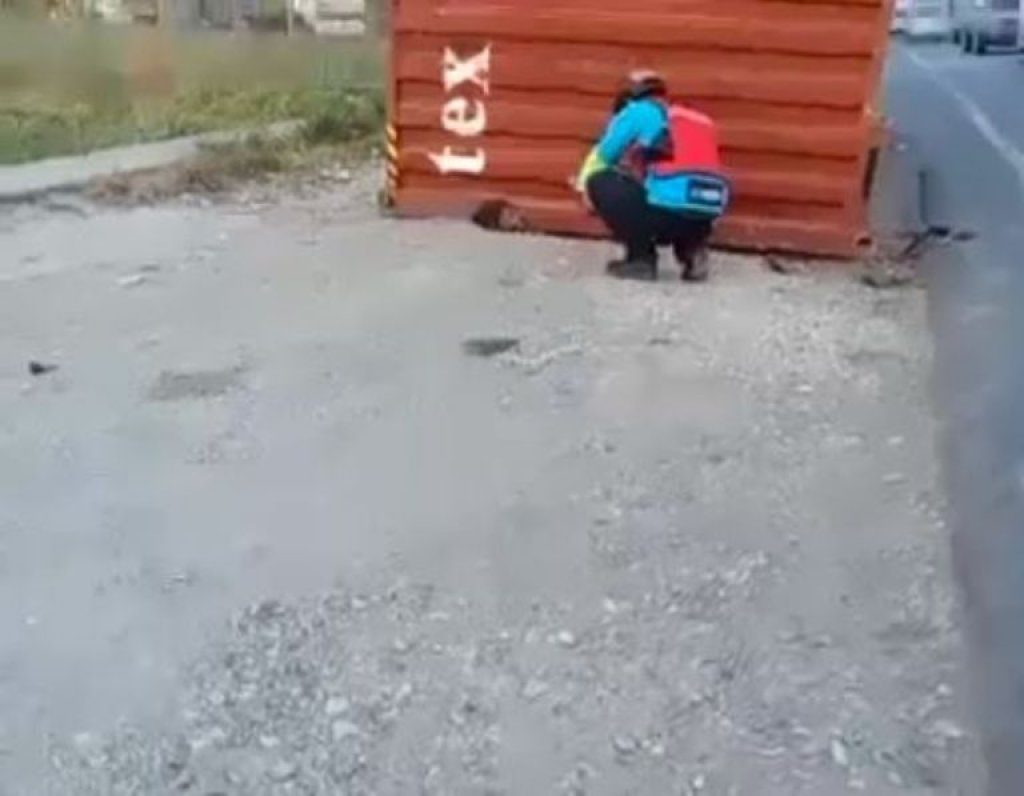 影／驚悚救援影片曝光！20噸貨櫃側翻重擊女子　全身遭壓扁當場亡