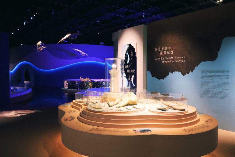 科博館《鯨掘》特展　揭開臺灣鯨豚的萬年記憶