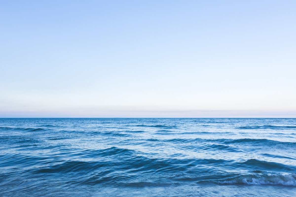 《海洋保育法》今起全面施行 守護藍色國土