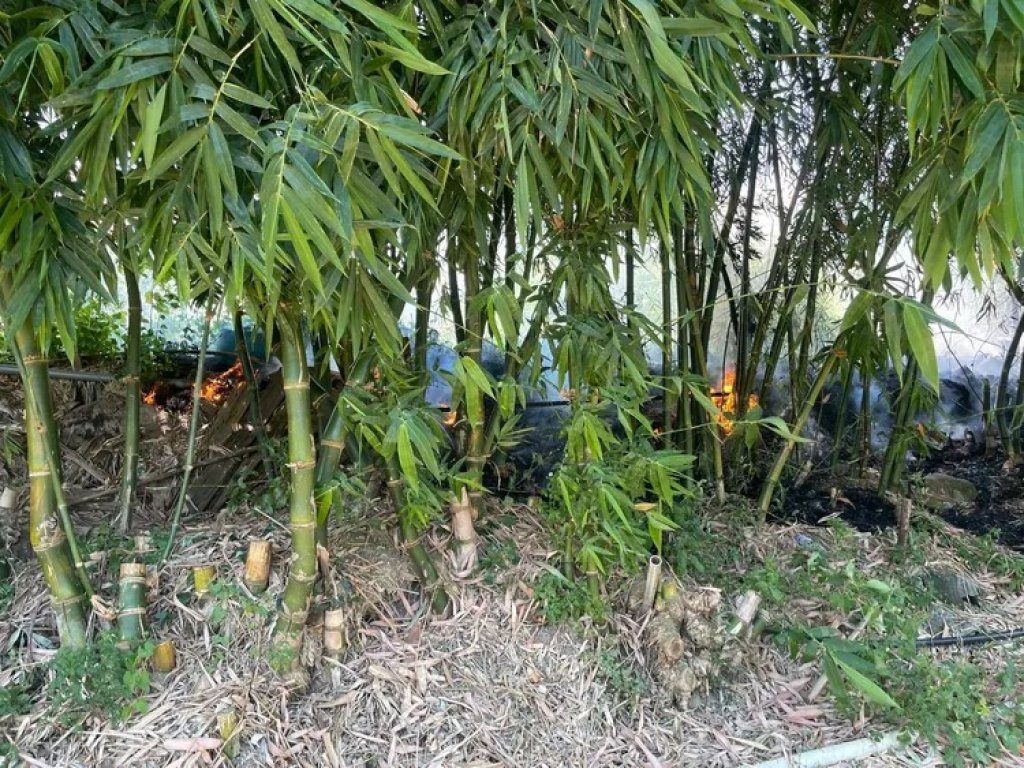 快訊/北市社子島路旁樹林起火 警消撲滅驚見焦屍 快訊/北市社子島路旁樹林起火 警消撲滅驚見焦屍