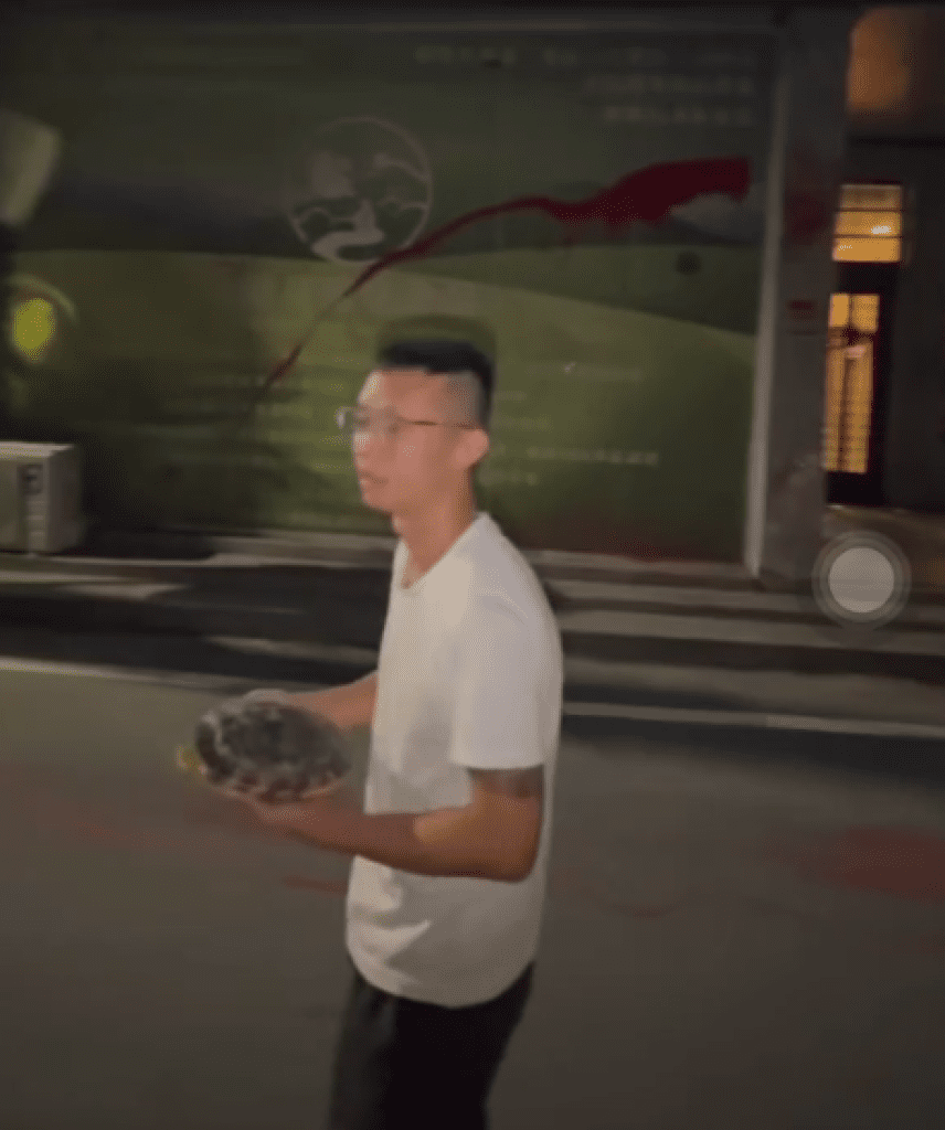 抓到又去挑釁!豐原茶行遭潑漆砸招牌案3嫌落網 隔天又抱鳥龜牽狗挑釁 抓到又去挑釁!豐原茶行遭潑漆砸招牌案3嫌落網 隔天又抱鳥龜牽狗挑釁