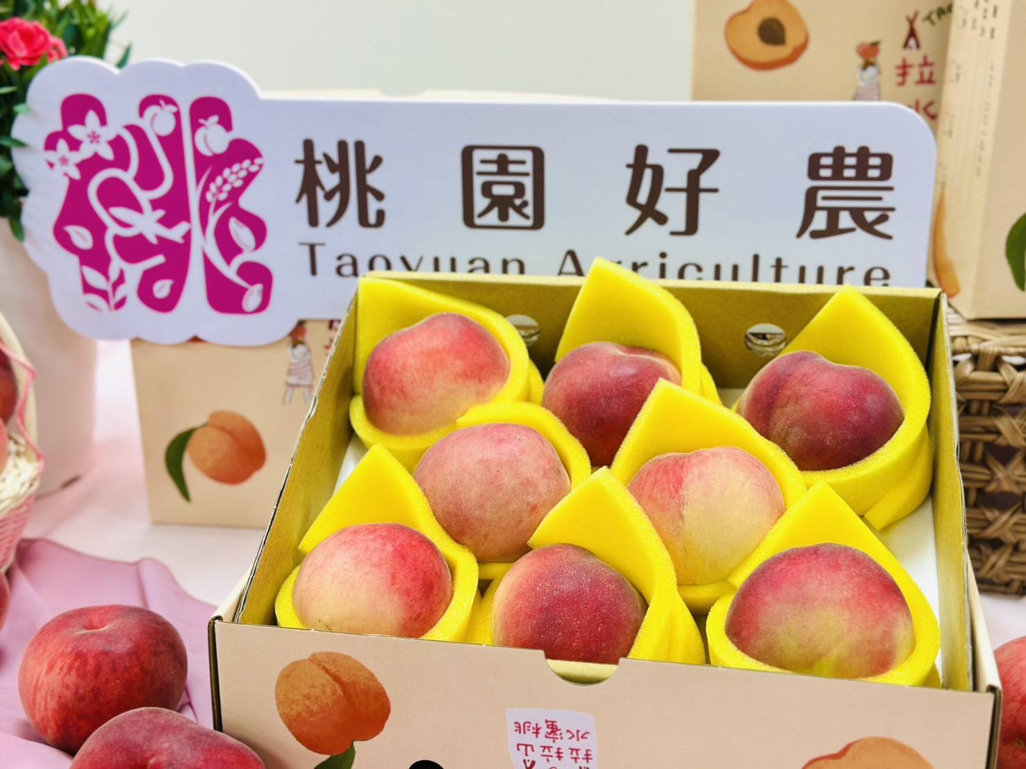 最甜應援!桃園球場開「水蜜桃趴」波士頓龍蝦、鱈場蟹等你抽 最甜應援!桃園球場開「水蜜桃趴」波士頓龍蝦、鱈場蟹等你抽