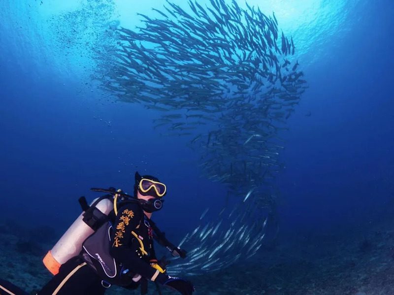 小琉球潛水住宿推薦 暢遊小琉球熱門潛點、與海龜共舞潛水體驗