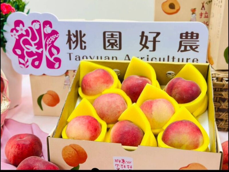 桃園市農業局 樂天桃猿跨界合作 「水蜜桃趴」 7/5、6入場抽免費水蜜桃、龍蝦、鱈場蟹