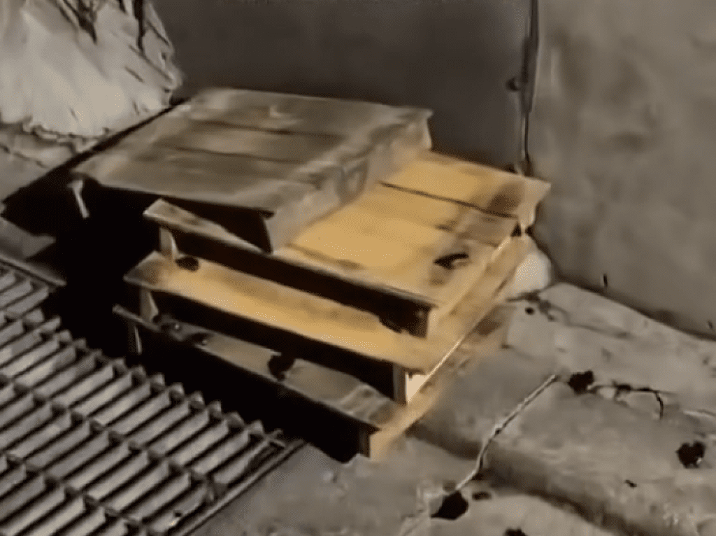 影／豆腐板放水溝蓋上！變蟑螂別墅整群狂爬　名店「四海一家」道歉了