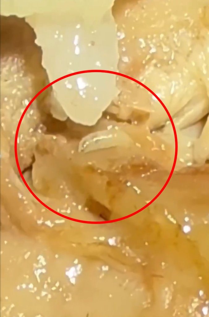 超噁心的！苗栗公館某便當 驚現「活蛆」在蛋、雞肉上蠕動