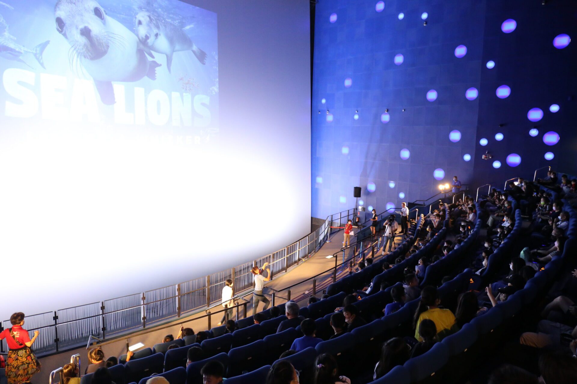 暑假到海科館海洋劇場看電影 探索水下文化 暑假到海科館海洋劇場看電影 探索水下文化