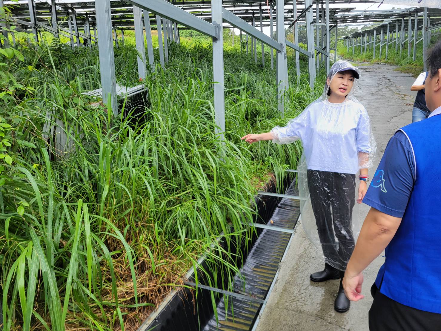 和山光電滯洪池泥流衝進社區排水溝 柯志恩痛批光電水保改善大失敗