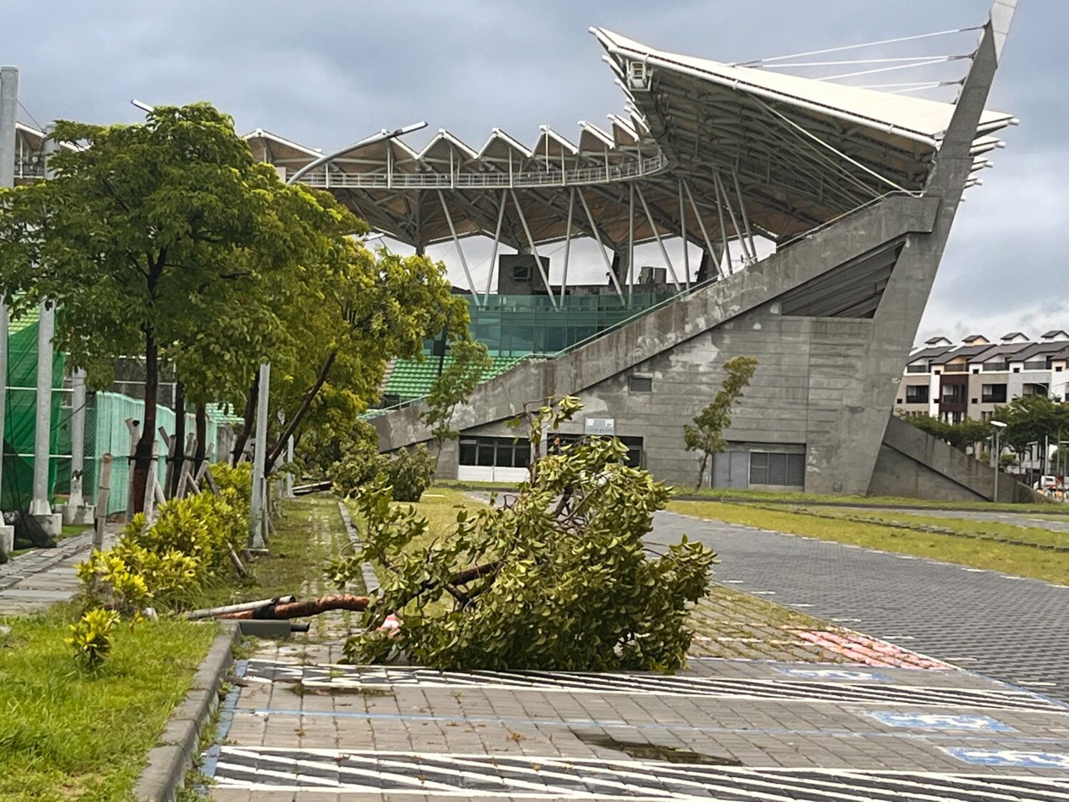 臺南體育局搶修風災場館  確保U12世界棒球賽順利舉行 臺南體育局搶修風災場館  確保U12世界棒球賽順利舉行