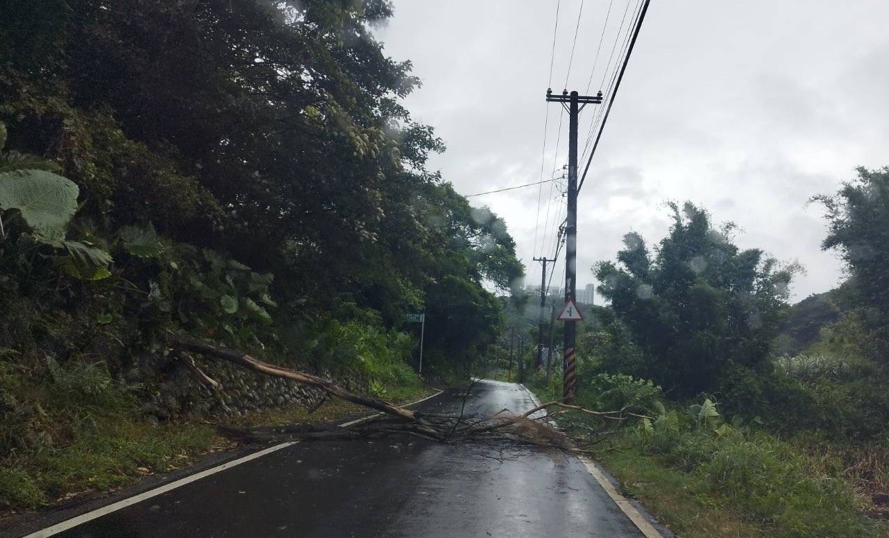 丹娜絲吹倒路樹 龍潭警及時排除恢復道路通行