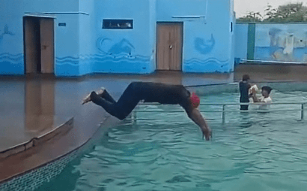 影/ 與友人聚餐想炫技卻喪命!印度男不知泳池淺 一躍跳入「頭撞池底」當場亡 影/ 與友人聚餐想炫技卻喪命!印度男不知泳池淺 一躍跳入「頭撞池底」當場亡