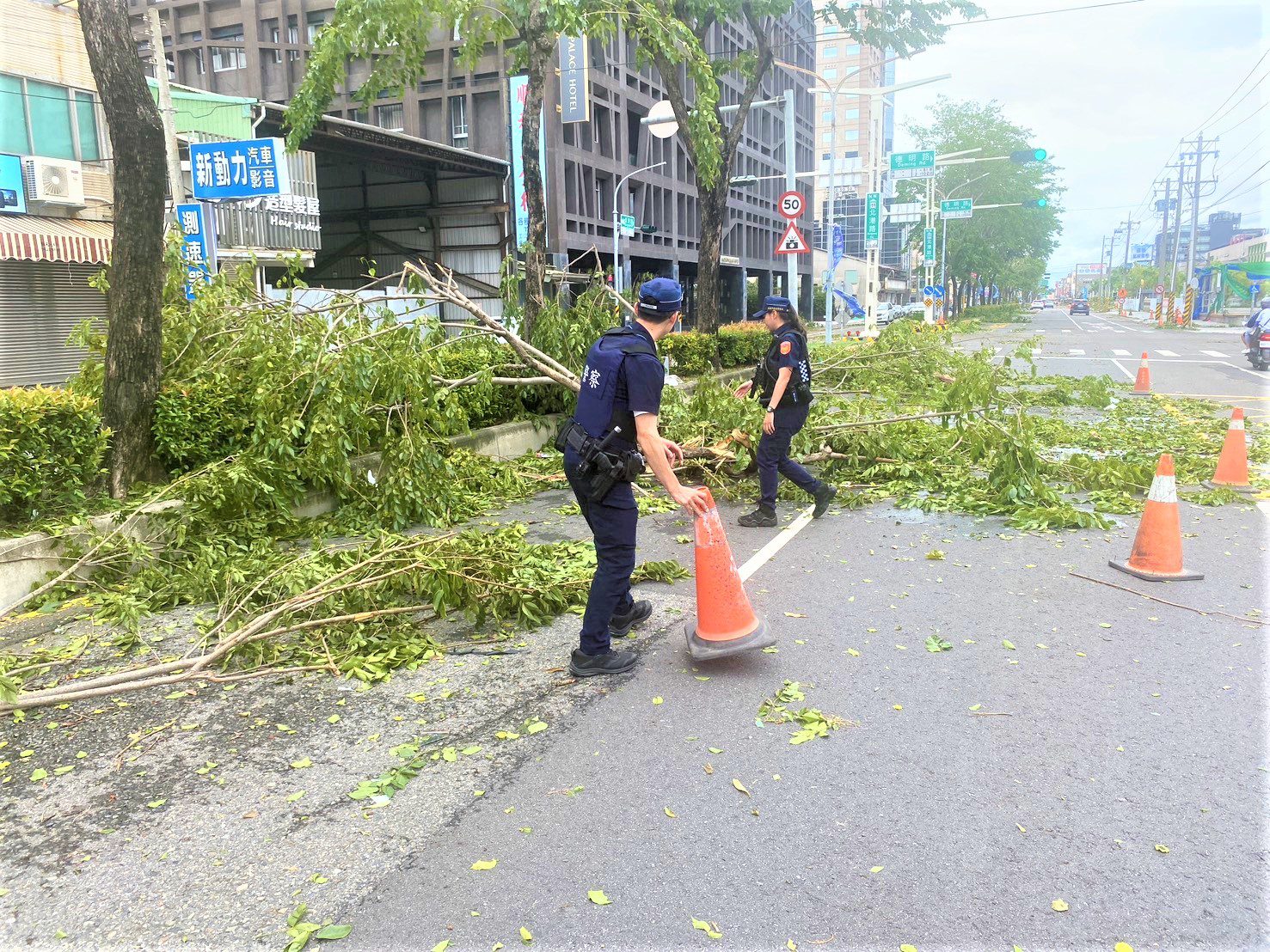 強颱樹倒阻礙交通 北鎮警與民眾合力排除路障 強颱樹倒阻礙交通 北鎮警與民眾合力排除路障