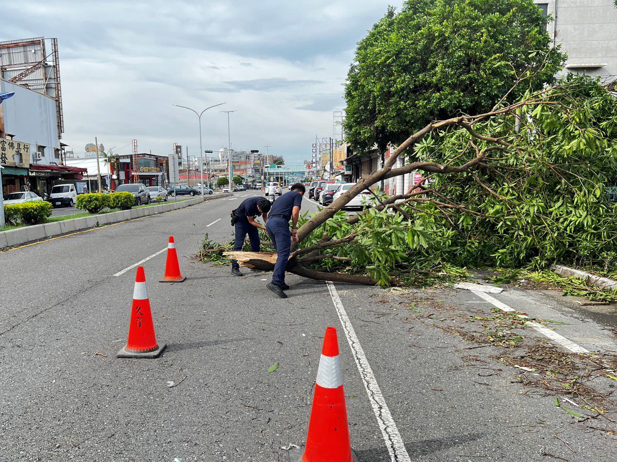颱風樹倒阻礙道路　竹園警冒險排除