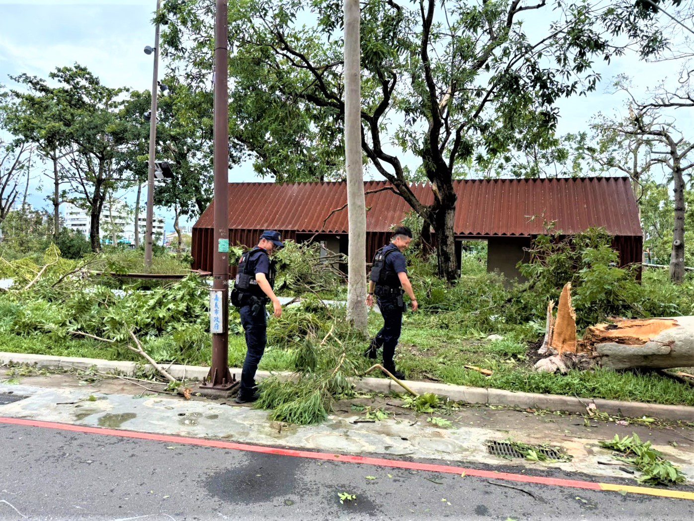 颱風吹襲路樹倒塌 八掌警迅速排除恢復交通順暢 颱風吹襲路樹倒塌 八掌警迅速排除恢復交通順暢