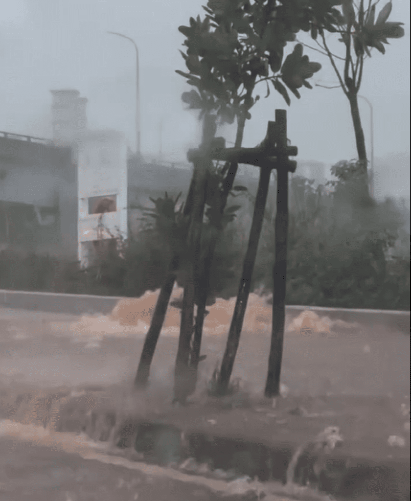 暴雨襲台中！沙鹿區驚現「路面行舟」、「小噴泉」奇景 網笑：裝置藝術