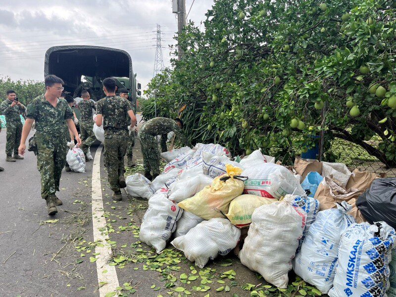 中秋文旦恐缺貨？丹娜絲颱風重創麻豆果園　價格恐飆、農民損失慘重