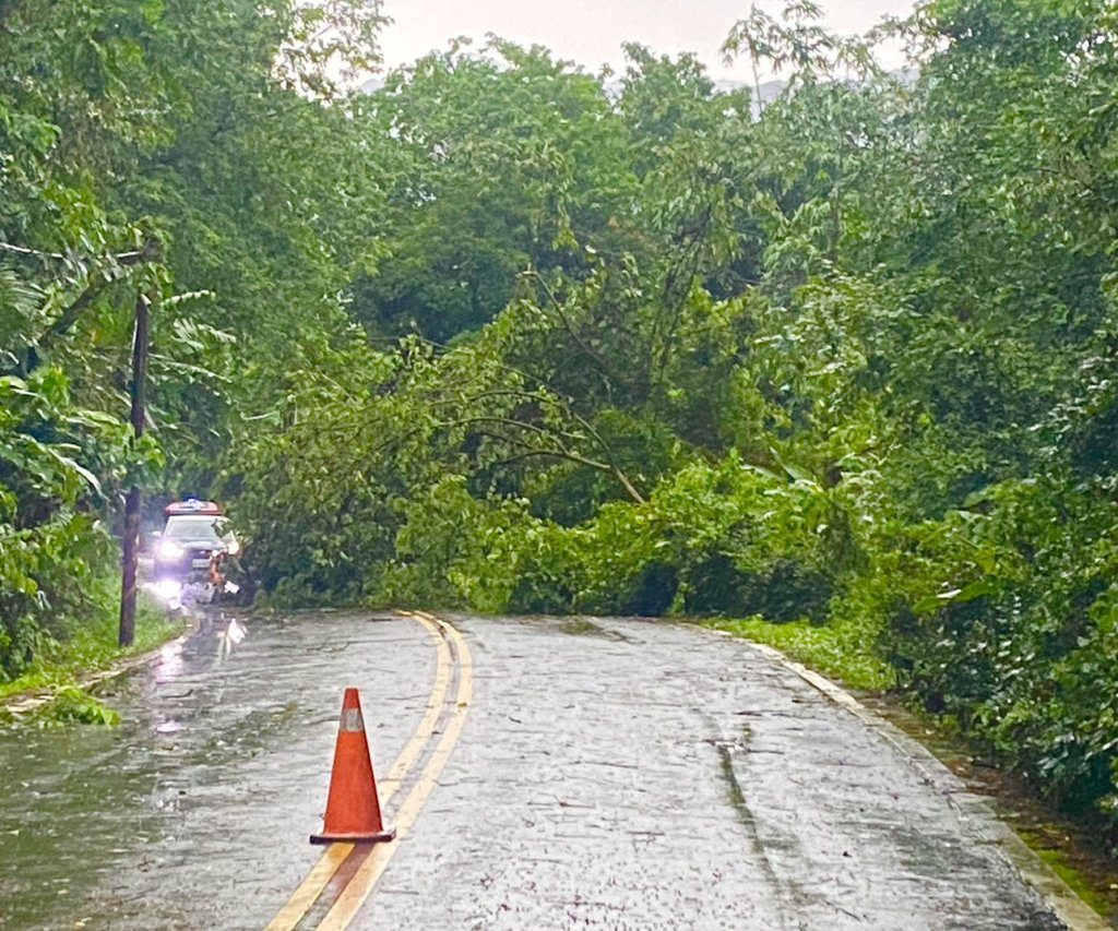 苗栗路樹倒榻方落石阻路　員警到場交管協助排除