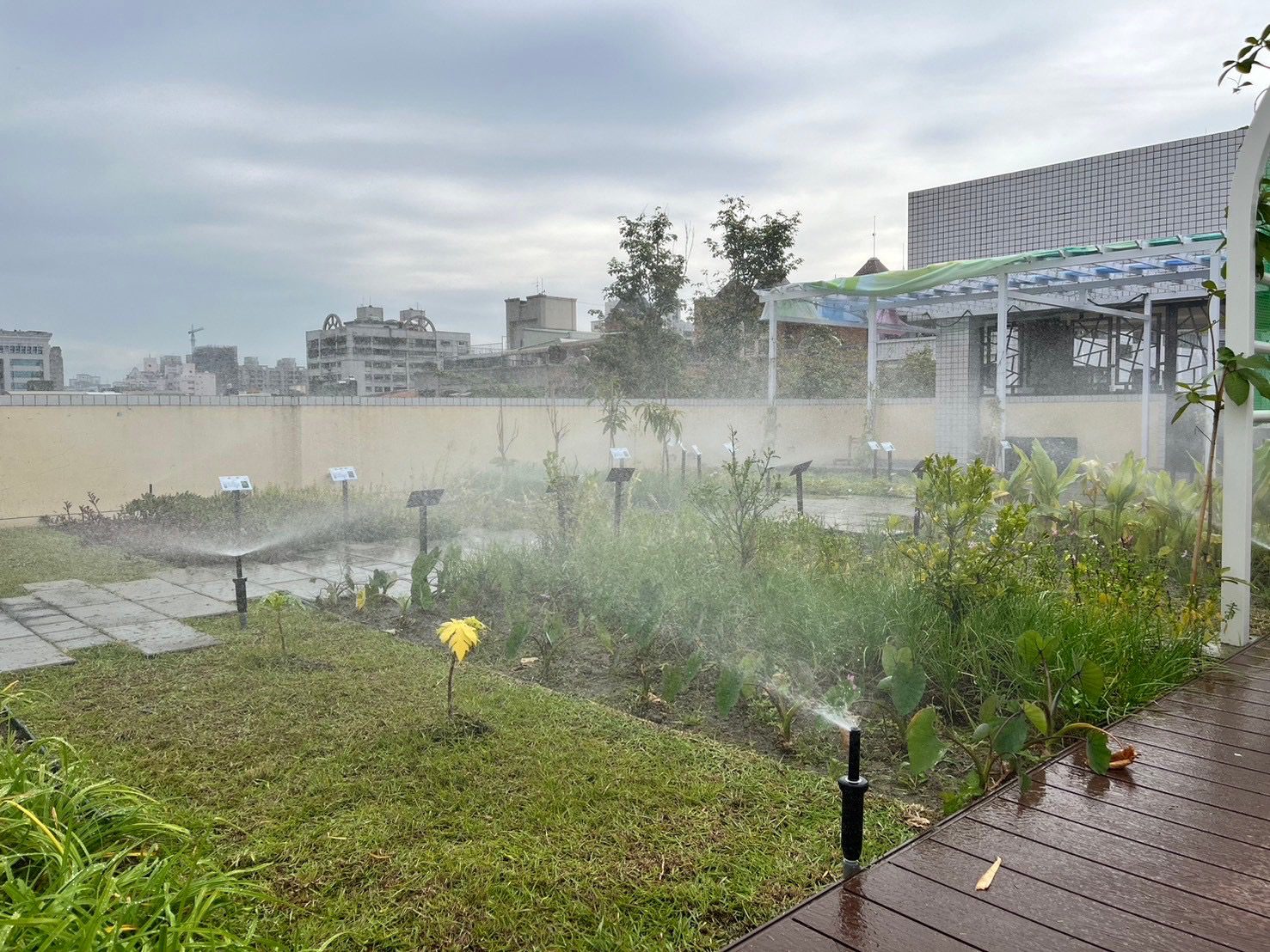 高市再推綠化補助  搶搭體驗淨零綠生活