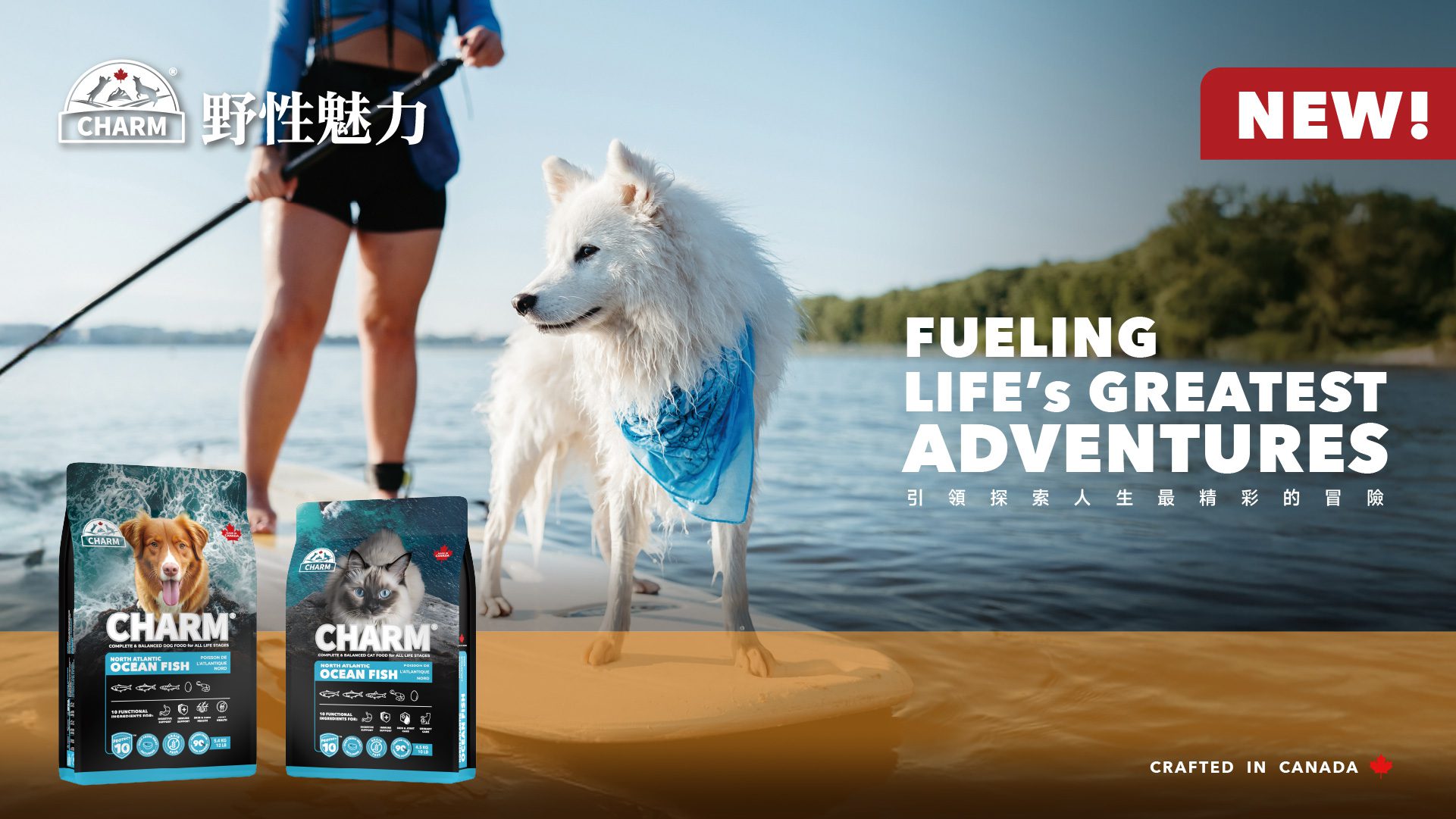 CHARM野性魅力 無穀飼料成寵物食品新寵 CHARM野性魅力 無穀飼料成寵物食品新寵