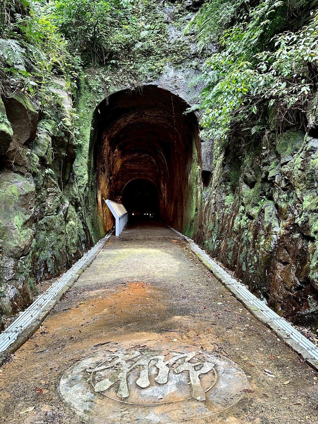 生態優先！劉銘傳隧道暫停開放　守護野生動物繁殖期