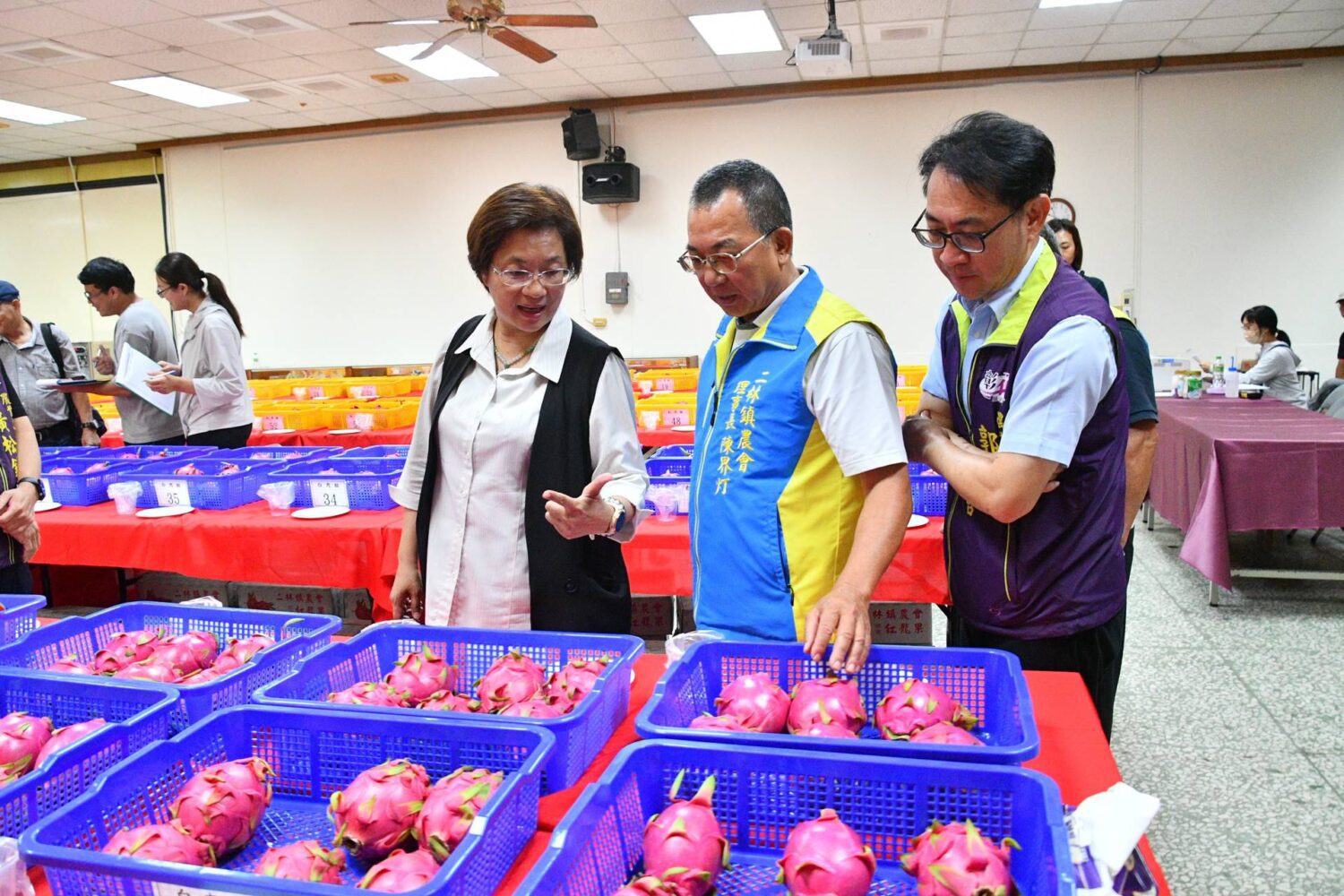 彰化優質紅龍果評鑑登場　二林三果魅力再現