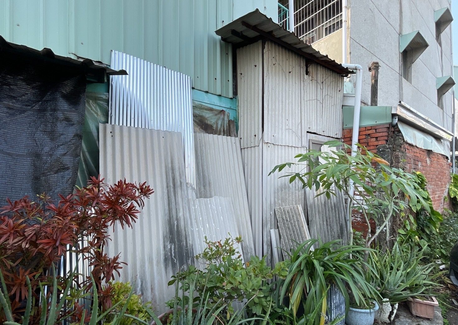 颱風損毀石綿屋頂　嘉市環保局啟動清除申請至8月15日