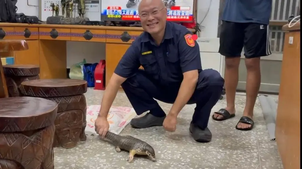 大雨後發現保育類穿山甲 潮州警方暖心協助安置 大雨後發現保育類穿山甲 潮州警方暖心協助安置