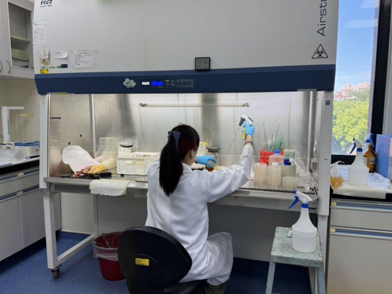 竹縣食品檢驗榮獲佳績 食安把關更進一步 竹縣食品檢驗榮獲佳績 食安把關更進一步