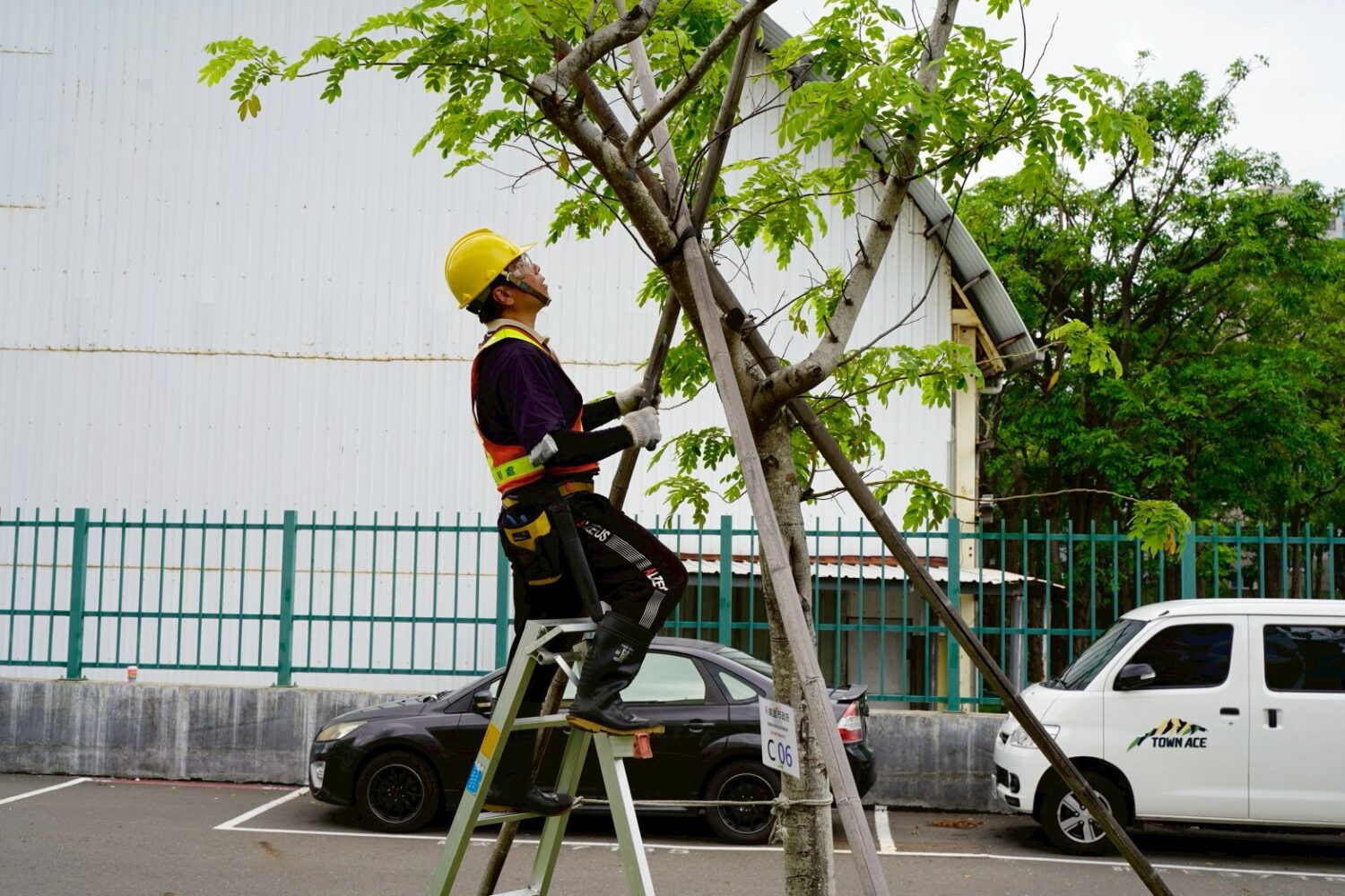 高雄景觀樹木專業修剪人力再添生力軍!讓修樹交給專業的 高雄景觀樹木專業修剪人力再添生力軍!讓修樹交給專業的
