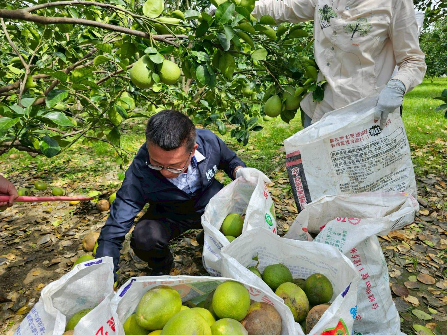 高雄青農組「農業突擊隊」馳援麻豆  農業局長姚志旺親赴慰問