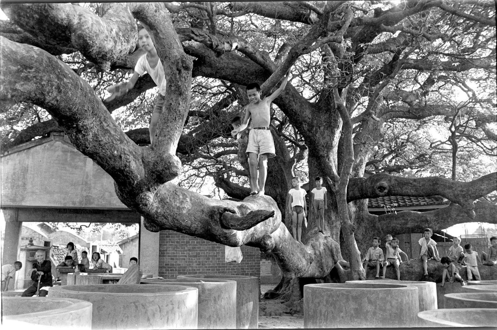 翻開城市記憶 中市圖徵集西區老照片 共寫臺中人情故事