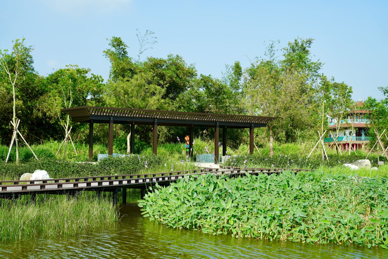 綠色奇蹟！高市觀光局觀音湖蛻變  勇奪兩大建設殊榮