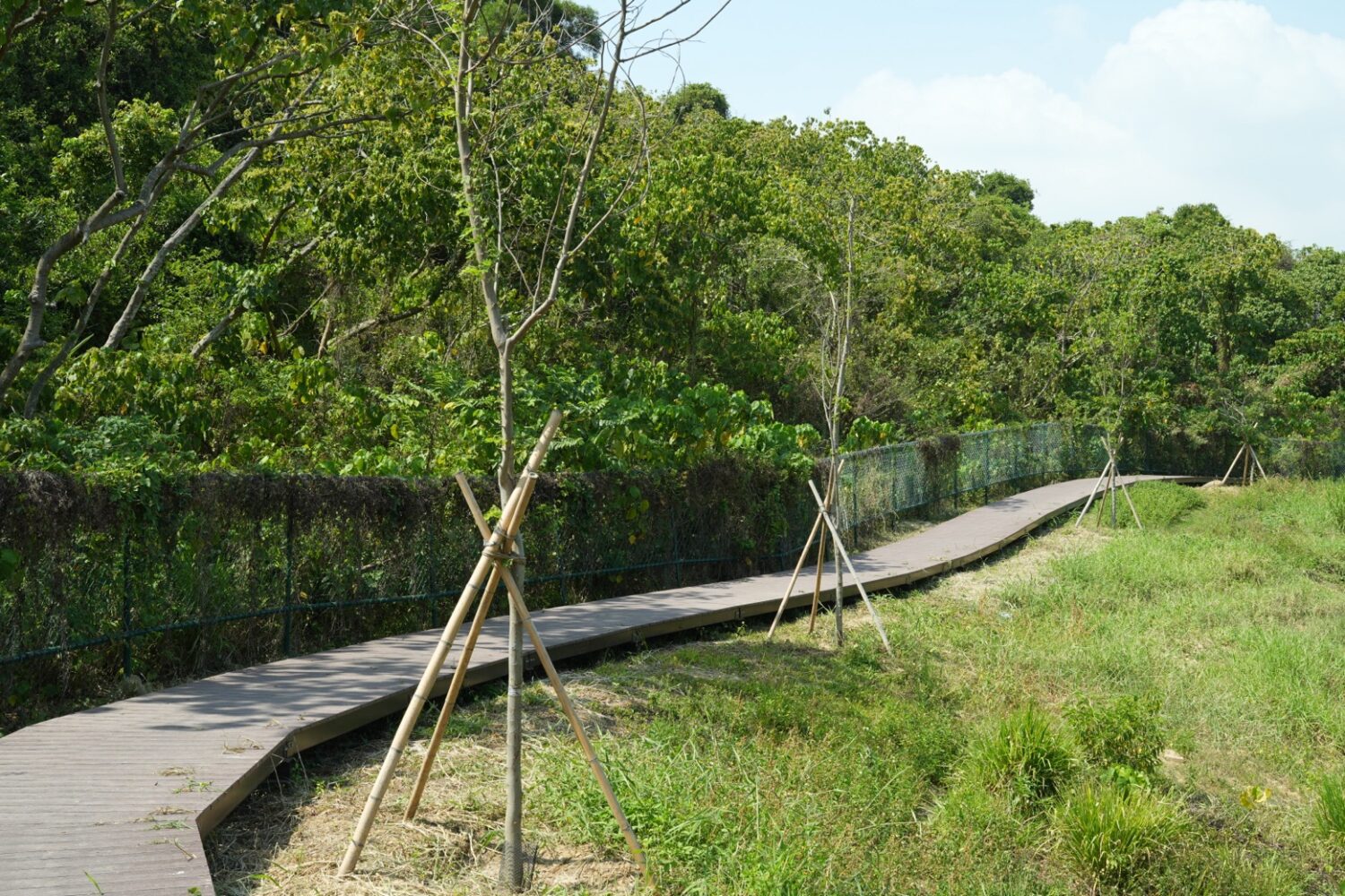 高雄觀音湖成生態景點 榮獲2025建築園冶獎及國家卓越建設獎 高雄觀音湖成生態景點 榮獲2025建築園冶獎及國家卓越建設獎
