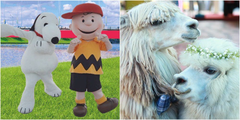 宜蘭童玩節7/23超萌主題日 史努比、查理布朗、羊駝快閃同樂 宜蘭童玩節7/23超萌主題日 史努比、查理布朗、羊駝快閃同樂