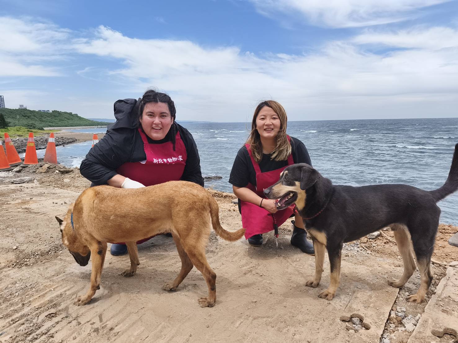 國際學生獻愛心　淡水動物之家浪浪迎來巴拉圭天使