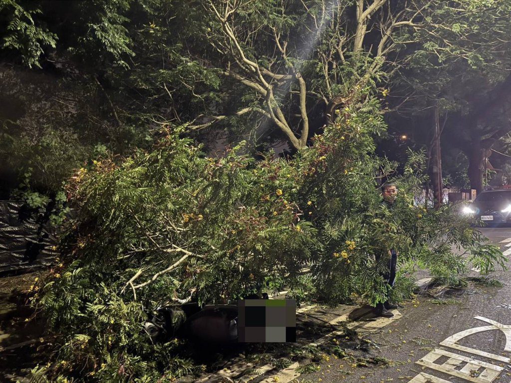 台中夜間傳意外! 路樹倒塌壓傷機車騎士 台中夜間傳意外! 路樹倒塌壓傷機車騎士