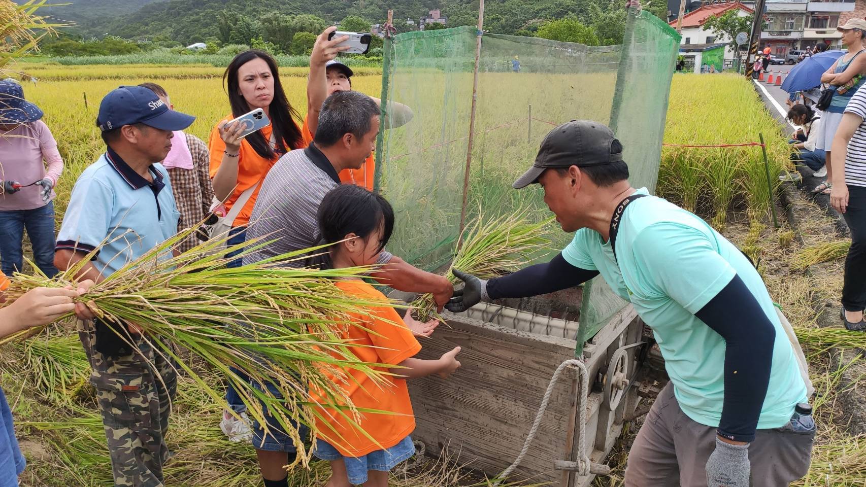 友善耕作修復農地 「作伙來割稻」體驗收割喜悅