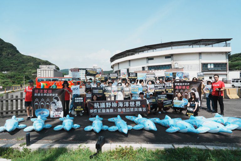 抗議違法繁殖小海豚　動保團體籲終止圈養