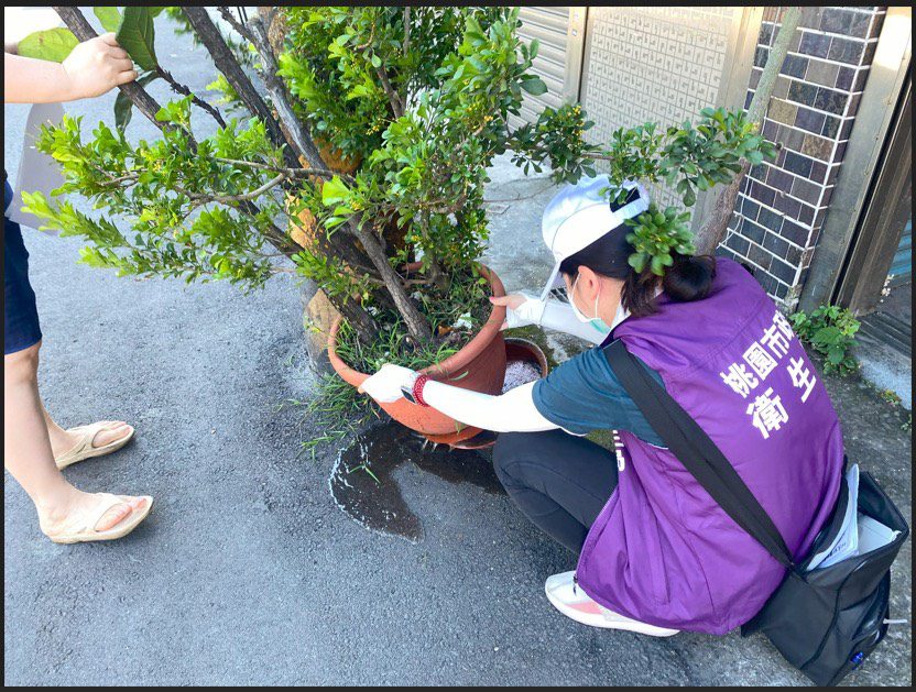 暑假出國夯!桃園衛生局提醒加強防蚊措施 預防登革熱 暑假出國夯!桃園衛生局提醒加強防蚊措施 預防登革熱