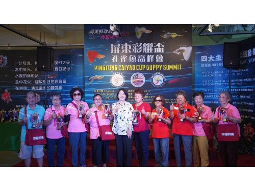 「孔雀魚高峰會」屏東盛大登場  首創樂齡蓋斑鬥魚賽事 全球八國高手齊聚爭艷 「孔雀魚高峰會」屏東盛大登場  首創樂齡蓋斑鬥魚賽事 全球八國高手齊聚爭艷