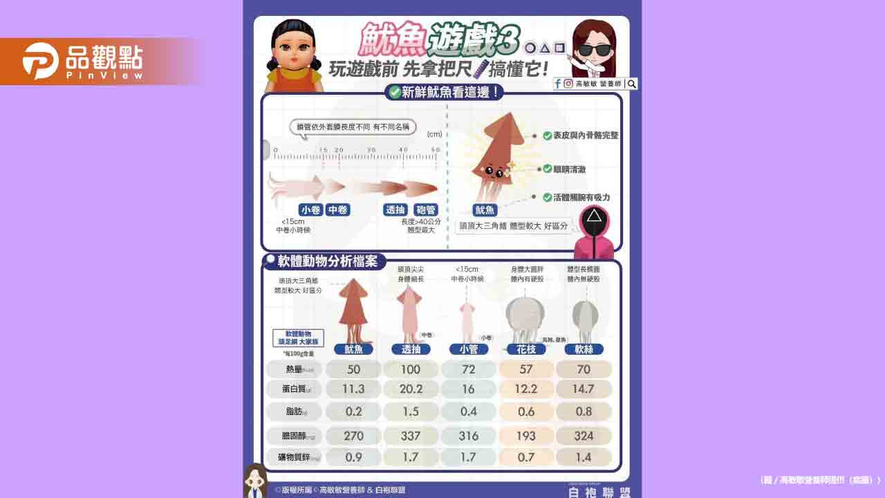 魷魚遊戲３你還沒搞懂這些軟體動物嗎?追劇前先來個海味小常識