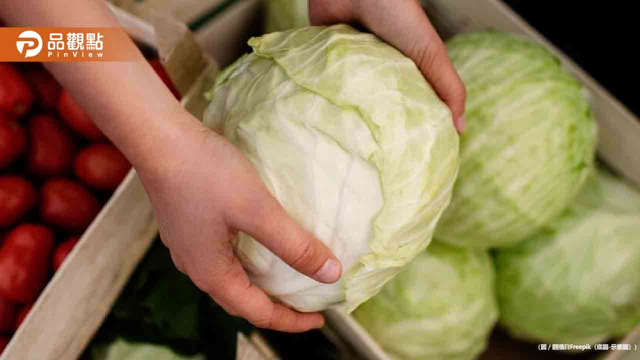 颱風後菜價飆漲!「1款菜」成最後綠色防線 颱風後菜價飆漲!「1款菜」成最後綠色防線