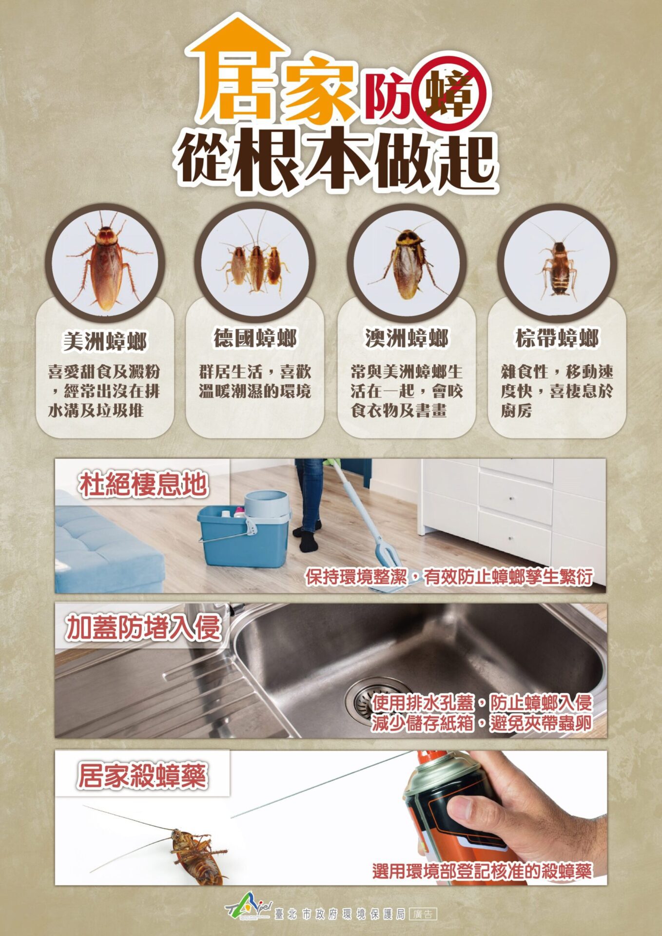 別讓「小強」太猖狂! 防蟑三寶守護居家健康 別讓「小強」太猖狂! 防蟑三寶守護居家健康