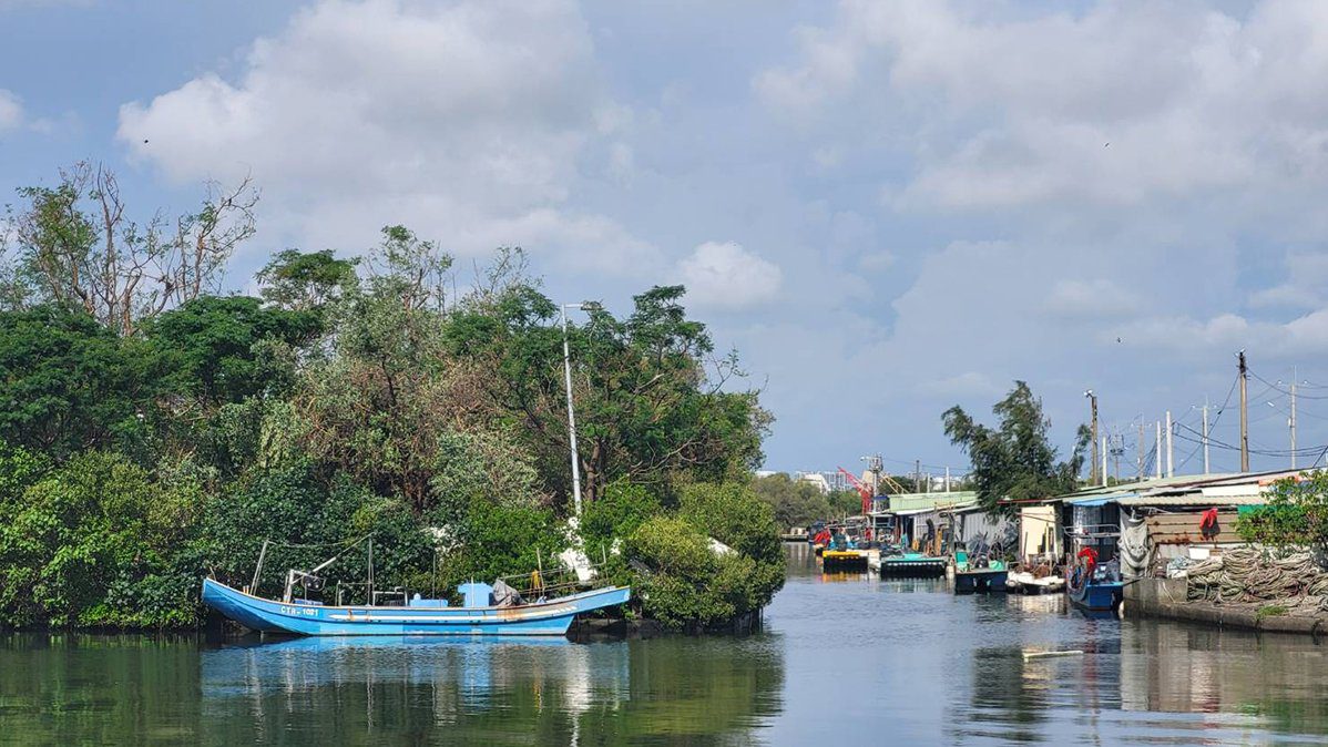 風災後迅速復原 四鯤鯓水陸生態導覽如期登場 邀民眾共遊紅樹林秘境 風災後迅速復原 四鯤鯓水陸生態導覽如期登場 邀民眾共遊紅樹林秘境