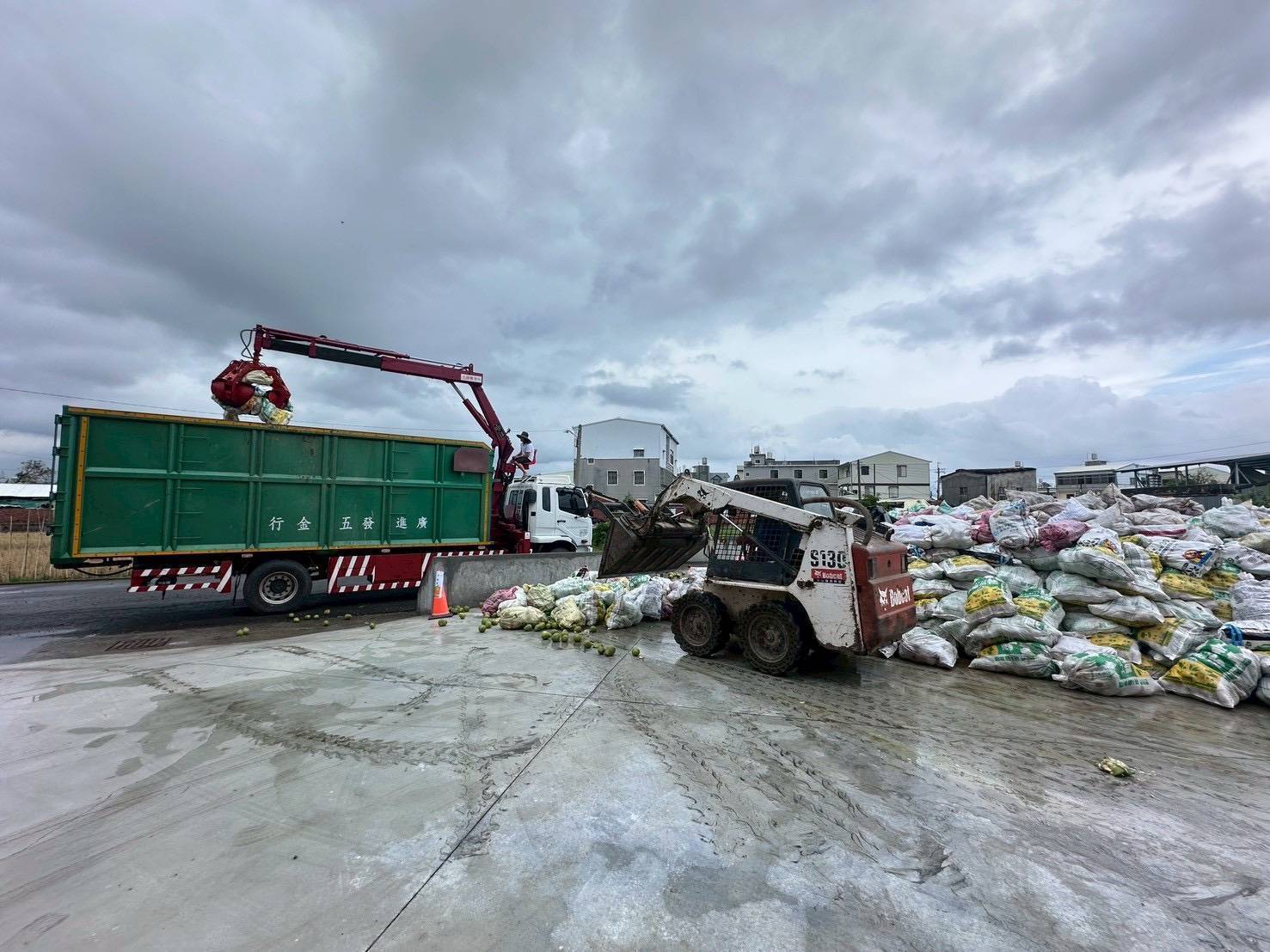 臺南文旦柚落果近兩萬公噸落果將清除完畢