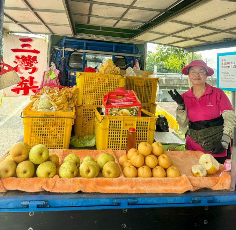 梨農羅文傑果園三灣梨果形渾圓、果肉鮮甜多汁甜度高 深受消費者青睞 梨農羅文傑果園三灣梨果形渾圓、果肉鮮甜多汁甜度高 深受消費者青睞