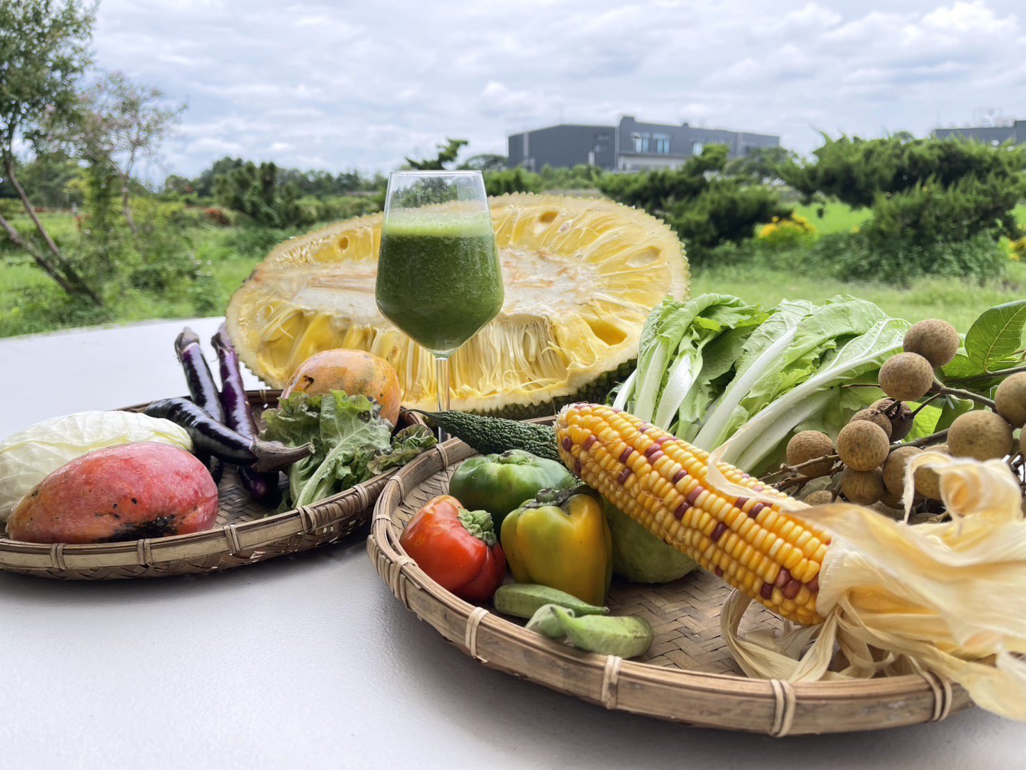 農業局暑期七月「神農市集」食農教育將登場 農業局暑期七月「神農市集」食農教育將登場