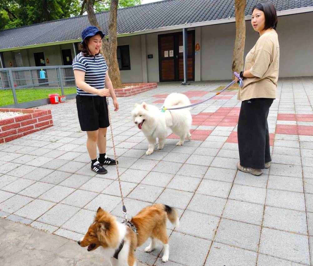 桃園動保處7/27舉辦寵物嘉年華 帶毛小孩打狂犬病疫苗、做健檢