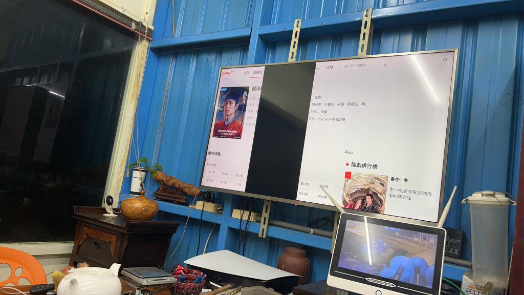 影／電蚊拍捕蚊「電死螢幕」！電視黑掉一片　民眾PO網問：還有救嗎